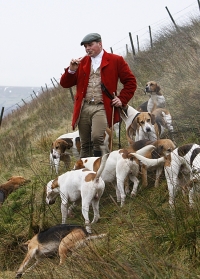 Huntsman with horn and hounds